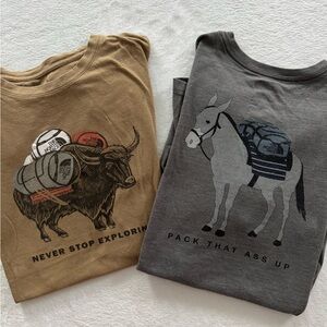 The North Face men’s short Sleeve Tees - Brown and Gray